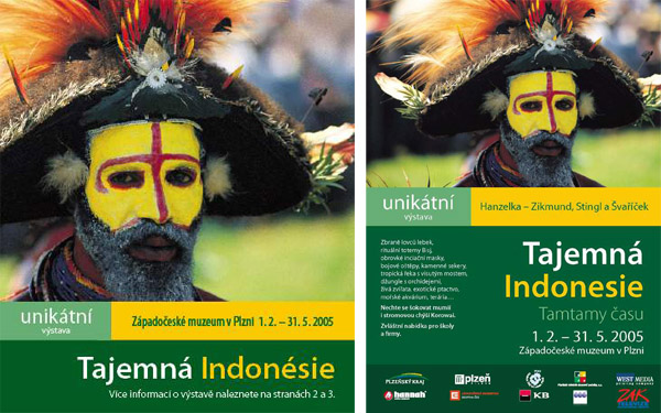 Enlarged view of image